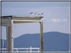 foto Lago Trasimeno